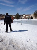 Swan walks away